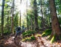 Erst leiden, dann lachen: Für die spaßigen Trails rund um den Wagensonnriegel muss man sich erst einen steilen Wanderpfad hinaufschinden.