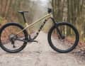 Trek Roscoe 9