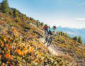 A playful descent or a brisk climb? Trail bikes for around 4500 euros master both disciplines at a high level.