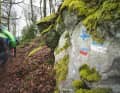 The seemingly endless network of hiking paths and trails provided plenty of variety and a wide range of demands on the bikes.