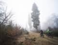 Also on the route: at 608 metres, the Eschkopf is the second-highest peak in the central Palatinate Forest.