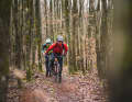 Moss-covered rocks, conifers and deciduous forests: The vegetation was constantly changing on the way through the Palatinate Forest - only the weather always remained the same.