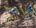 Hardtail, race bike or would you prefer a down-country bike? This question still separates many a speed-hungry rider from their dream bike for the racetrack or the home circuit. Nine bikes from three categories are compared to provide clarity.