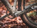 The eccentric bottom bracket is primarily used to tension the chain, but also allows fine adjustment of the bottom bracket height. 