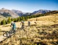 Which manufacturer manages to put a solid all-mountain MTB on its wheels for a maximum of 3300 euros? - 6 exciting models in the test.