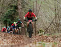 The leaves from last autumn still cover the trails, but there is already a hint of spring in the air.