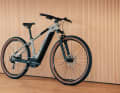 Mit einem Bosch Performance E-Bike-Motor und einem 625 Wattstunden Akku geht's auf Fahrt.