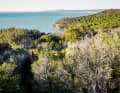 Even if you can't always see the sea from the trail, you can hear and smell it. 