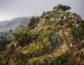 Not the land of harmless cypress avenues: the trails in Tuscany can get really nasty.
