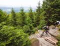Test riders Thomas and Max race the test bikes over a specially designed uphill flow trail. The route leads uphill over wooden bridges, rocky passages and berms in such a fun way that you forget the effort in places.