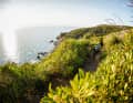 Most of the trails wind their way through the forest, but every now and then there is a view of the sea. 