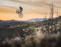 Mosterwhip in the backyard: Cam Zink in his private practice area, called Sandbox.