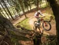 We tested the Decoy SN in various bike parks and on a wide range of enduro trails. Thanks to the Fazua boost, even the climbs are a lot of fun.