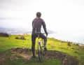 Whether in the north of Spain or the south of France, green is the dominant colour.