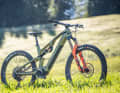 Conway Ryvon LT 10.0 // 9999 euros // 170 mm // 18.9 kg / 29/27.5 inches