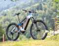 The E-Power RS 160 Factory is the new technology flagship from Corratec with the new Bosch motor. Price: 8499 euros.
