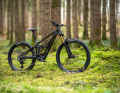 With the V2, Giant presents the new version of the Trance X Elite light e-MTB.