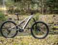 Rockrider E-Feel 700 S // Shimano EP6 // 630 Wh // 160/150 mm // 29 inch // 25.2 kg // 3999 Euro
