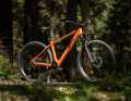 Ein Light-Hardtail mit minimalistischem TQ-Motor. Das ist das neue Rose Bonero Plus.