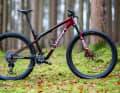 Wenig Gewicht, viel Speed: Das Specialized ist das kompromissloseste Race-Bike im Vergleich – verlangt aber ein sorgfältiges Fahrwerks-Setup.