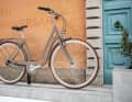 Happy Birthday Pegasus Bici Italia 7!