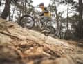 In Alutech's portfolio, the Pelmo is the fully with the least suspension travel. Our test shows that it can still pack a punch.