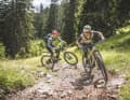 Value for money: Here too, the higher price is no indication of better bikes.