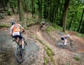 The Stelvio Pass of the North: In the bike park, the new flow trail provides for extremely winding uphill and downhill fun.