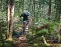 Up over the rocky ridge, down the cedar Northshore ladder. Typical BC. That’s how it should be!