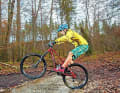 Squealing in wet conditions or in the rain is more or less normal for MTB disc brakes.