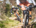 Riding fun is also affordable. A carbon frame with modern geometry and a solid equipment package are the key to sales success.