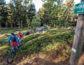 Bavarian Forest: Eight thousand metres in one weekend