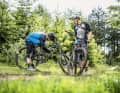 Natural trails, flow lines and blocked downhills - the variety of trails on the Geißkopf offers the perfect testing ground to really test all facets of an all-mountain bike.