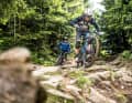 Auf den Enduro-,  Freeride- und Downhill-Strecken am Bikepark Geißkopf loteten wir die Abfahrtstauglichkeit der Bikes aus. Ihre Kletter­fähigkeiten mussten sie auf dem Uphillflow  unter Beweis stellen.