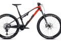 Favorit Kategorie Down Country: Rotwild R.X 275