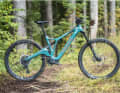 Forestal Siryon Neon