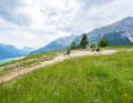 Sattgrüne Wiesen, Brentafelsen-Kulisse und endlos lange Abfahrten mit Badesee am Trailende: Der Bikepark Dolomiti Paganella ist vielleicht der schönste seiner Art.