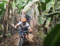 Ecuador's diversity: The descent from the high alpine Chimborazo ends in banana plantations. | .