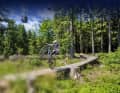 Am 28. August werden die ersten neuen Strecken des Bikepark 1024 am Ochsenkop eröffnet.
