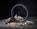 Pirellis neuer Scorpion Black Sting - flink und schnell soll er sein, für harte Böden.