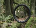 Rear wheel on fern... depending on the version: 870 euros (carbon) or 410 euros aluminium.