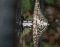 Service kits for the hubs are also available.