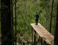 Hobby freerider Dylan Sheffer spent eight days building the 12-metre drop with his friends. Helpful: he is a carpenter.