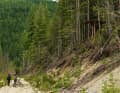 The terror of every federal forester! Not in Canada. "We built the drop in the middle of nowhere in British Columbia, where only grizzlies live," says Dylan.