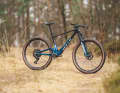 Bulls Wild Edge Team 10,9 kg1  / 120/120 mm / 29" / 6999 Euro / Carbon