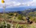 Oben besticht der Buxo-Trail auf Madeira mit seiner Premium-Aussicht.