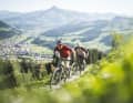 In the test: Six all-mountain bikes and one trail bike in the price range around 5000 euros.