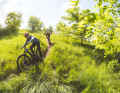 Trails can't shock the Cube Stereo Hybrid 140 TM. However, it feels more comfortable at a moderate pace than on extreme terrain.