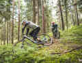 Balanced handling and good rear suspension: the Rail 7 feels very comfortable on trails.