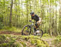 Mit 15,5 Kilo in Rahmengröße L (ohne Pedale) stellt Marin das mit Abstand leichteste Bike in diesem Vergleich. Anstiege erklimmt man auf dem Rift Zone 2 dennoch schlechter als auf dem fast zwei Kilo schwereren Merida. Das lebendige Heck und die zäh rollenden Reifen halten den Vorwärtsdrang in Grenzen.
